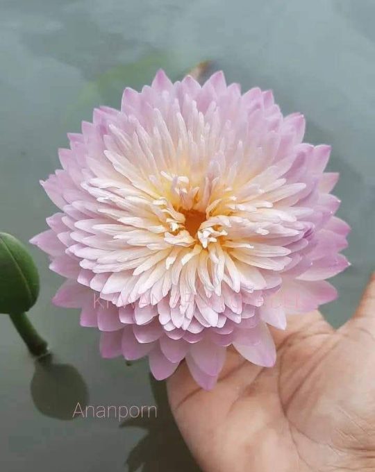 PHOTO-2025-11-24-09-23-16