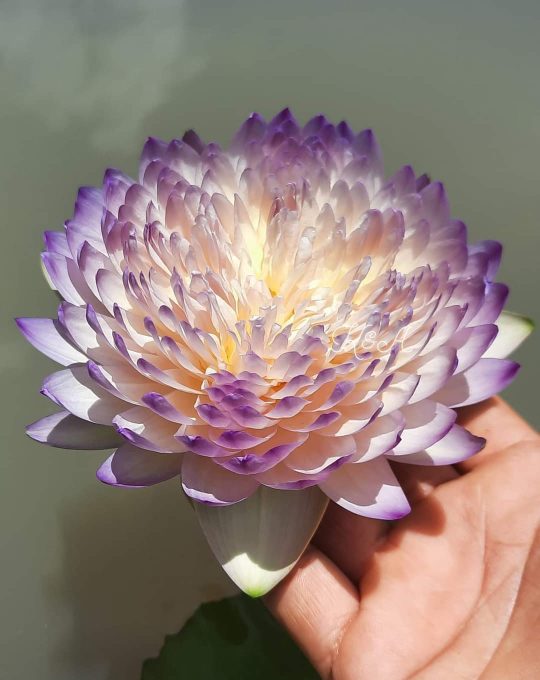 PHOTO-2025-11-24-09-34-35